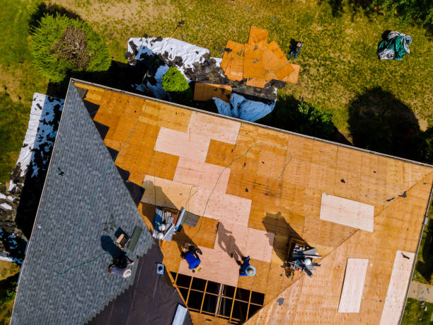 Best Residential Roofing Contractor  in Long Beach, IN