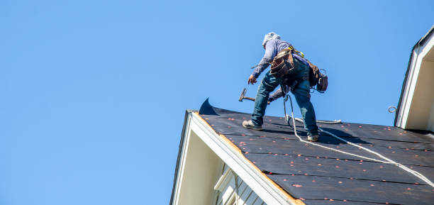 Best Roof Gutter Cleaning  in Long Beach, IN